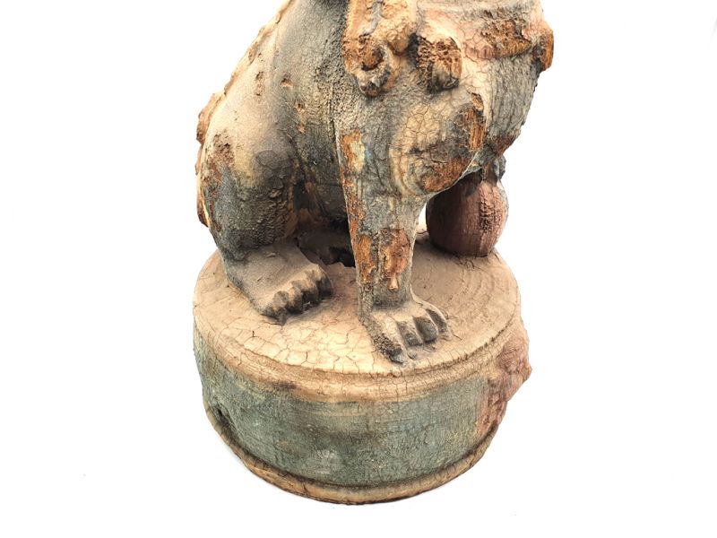 Ehemaliger großer Wächterlöwe des Holztempels (Alter: 50) 3