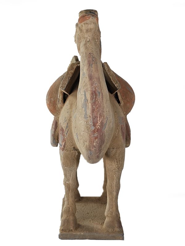 Estatua China de terracotta Camello muy grande 5