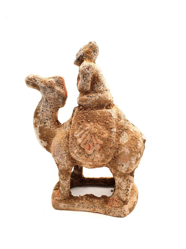 Estatua China de terracotta Tang Camello 3