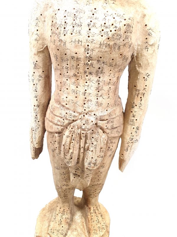 Estatua de acupuntura Masculino Medicina China - Madera 3