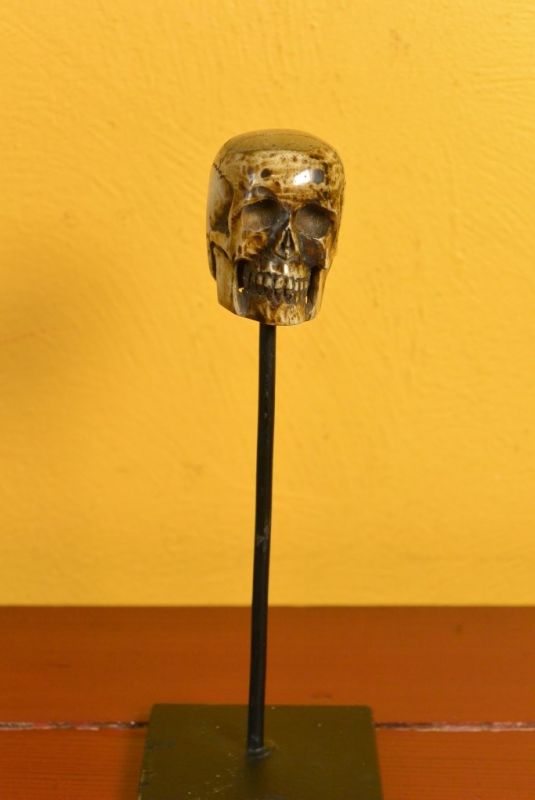 Estatua de Indonesia Hueso Cráneo 1