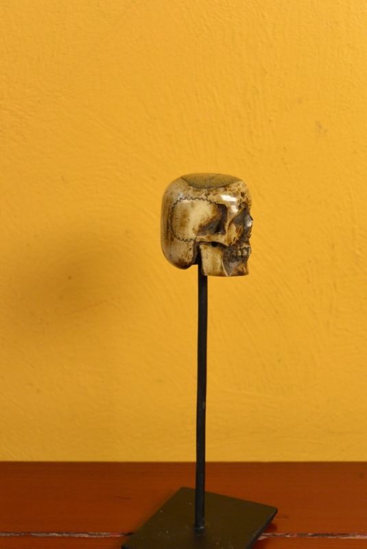 Estatua de Indonesia Hueso Cráneo 3