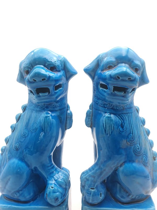 Fu Dog pair in porcelain Blue 2