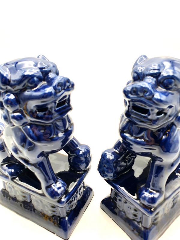 Fu Dog pair in porcelain Navy blue 4