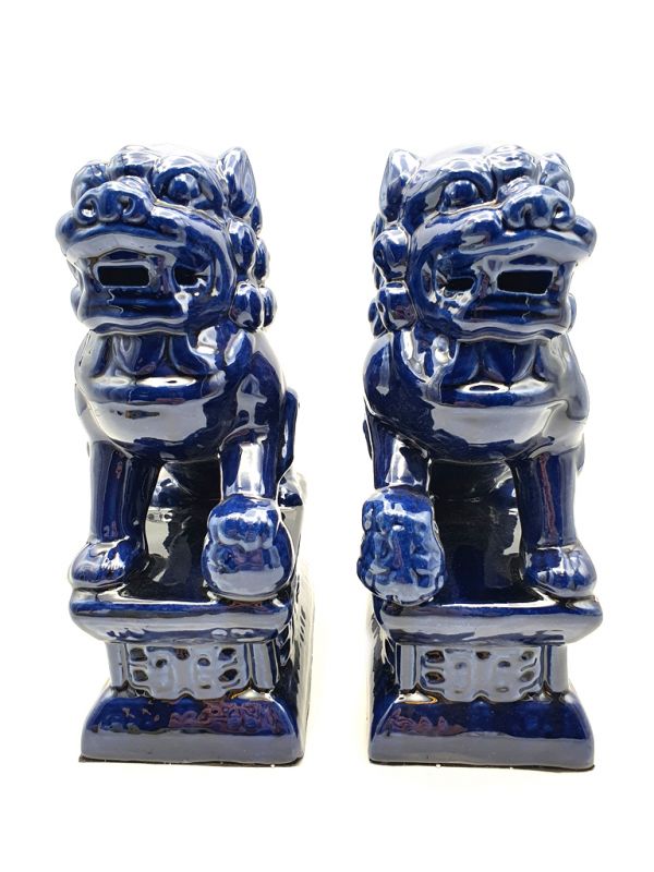 Fu Dog pair in porcelain Navy blue 5
