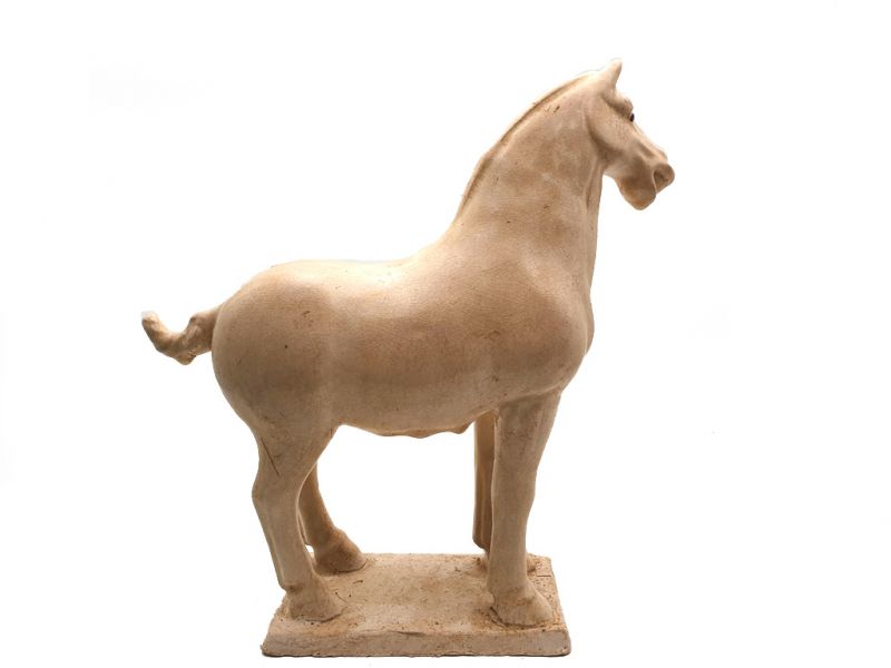 Glasiertes Terrakotta Tang Pferd - Statue - Weiß 3