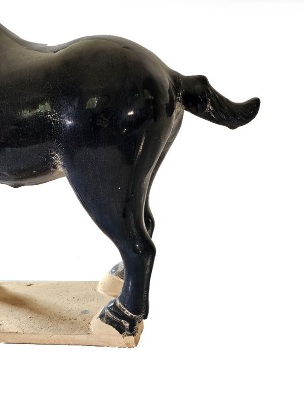 Gran Caballo de terracota esmaltado Tang - Estatua - Negro 3