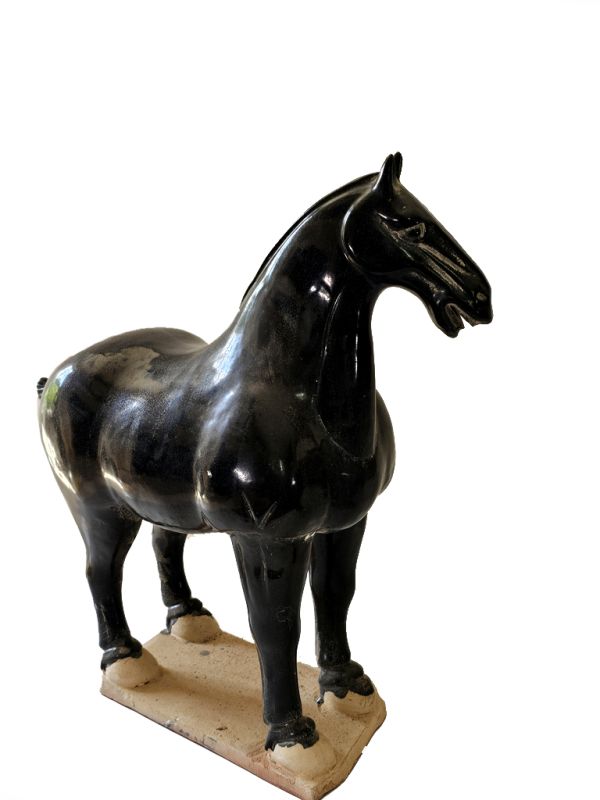 Gran Caballo de terracota esmaltado Tang - Estatua - Negro 5