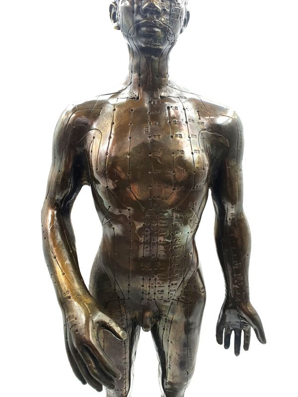 Gran estatua de acupuntura de bronce chino - Hombre 2
