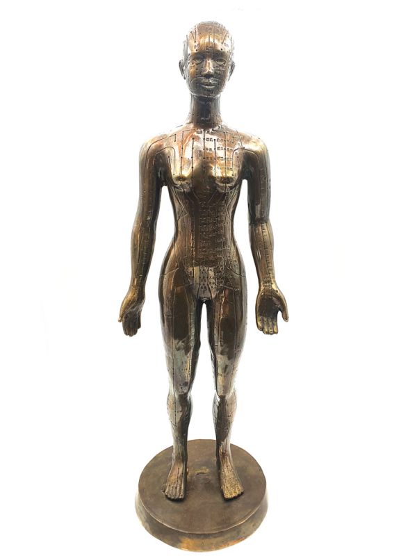 Gran estatua de acupuntura de bronce chino - Mujer 1