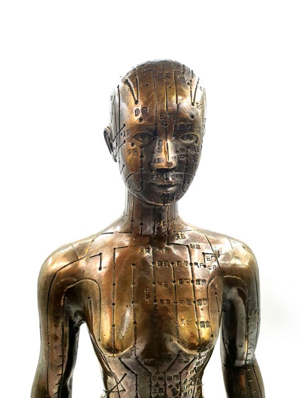 Gran estatua de acupuntura de bronce chino - Mujer 3