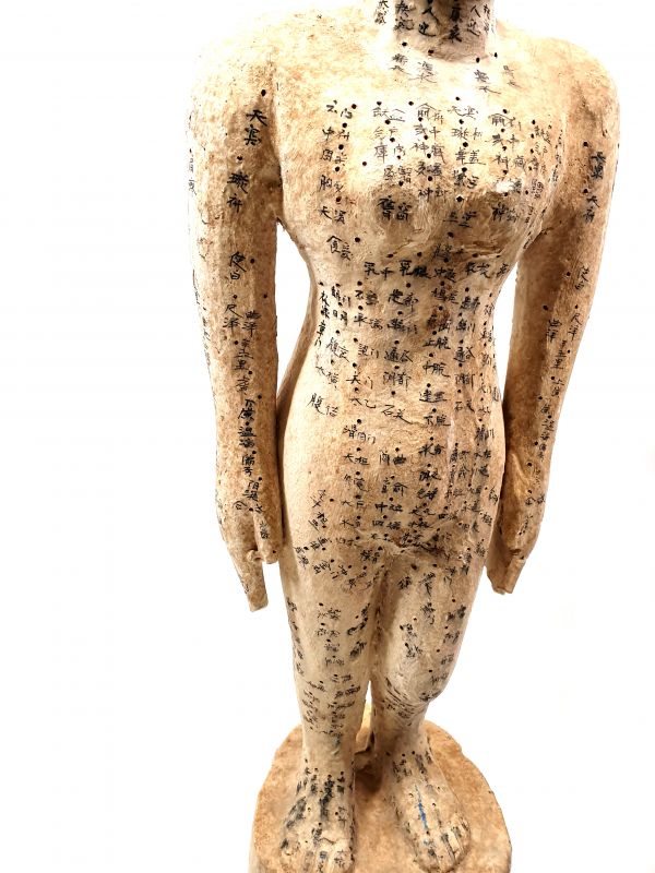 Gran estatua de acupuntura Femenino Medicina China - Madera 3