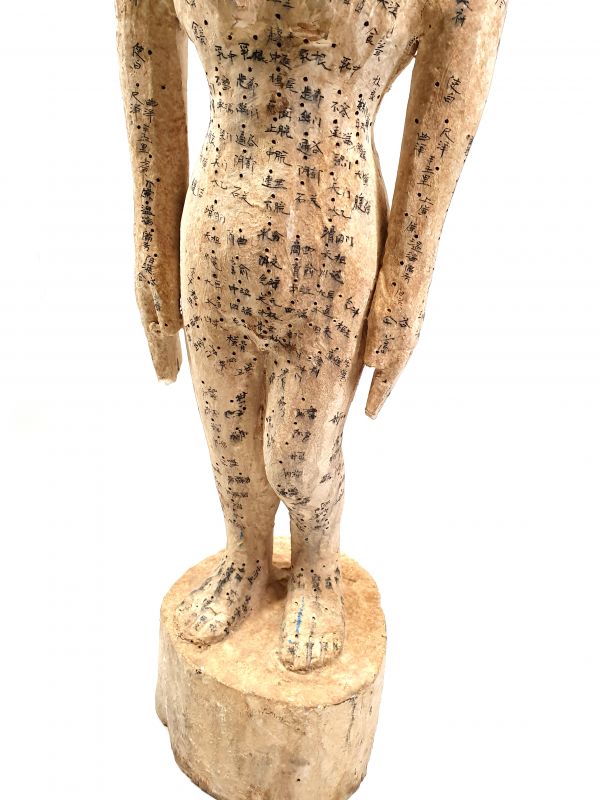 Gran estatua de acupuntura Femenino Medicina China - Madera 5