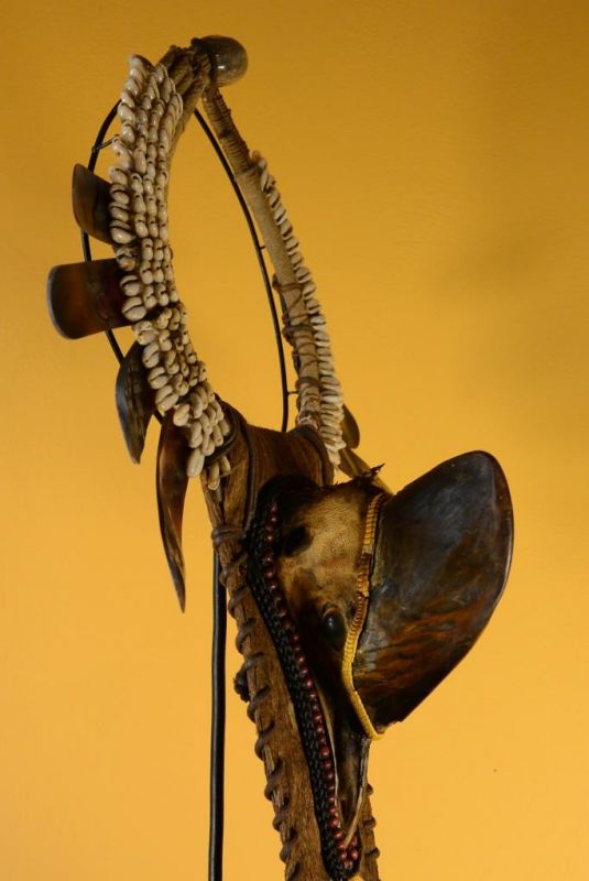 Grand Collier tribal Indonésie - Casoar à casque 4