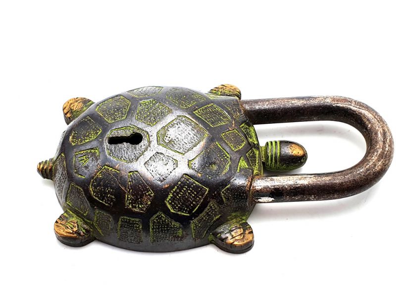 Grande Candado chino Tortuga 2