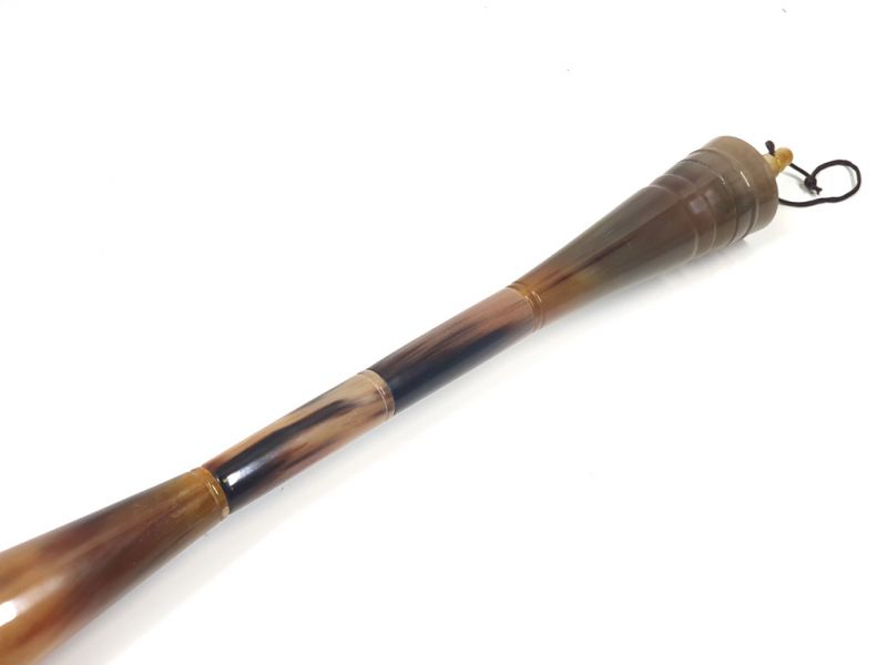 Groß Chinesische Moderne Pinsel 100% Horn 2