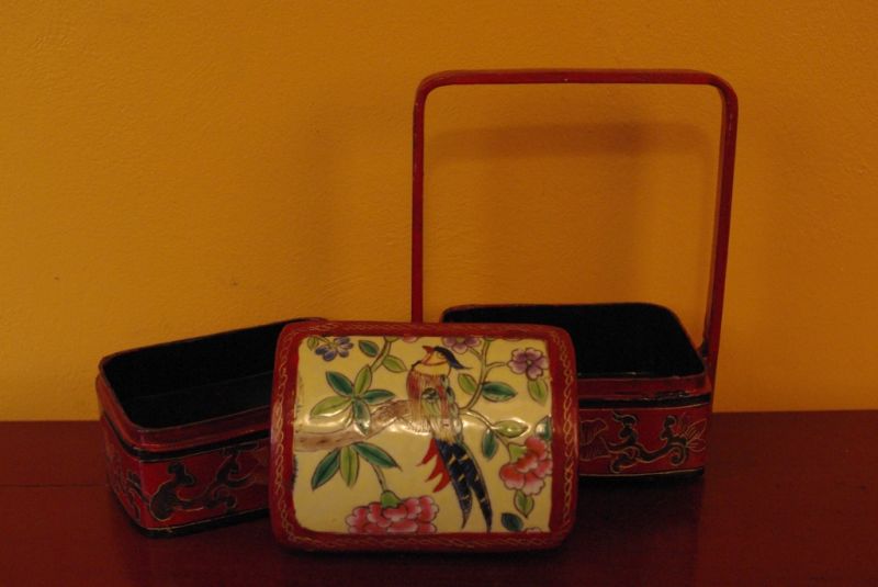 Grosse Asiatische Schatullen Vogel 4