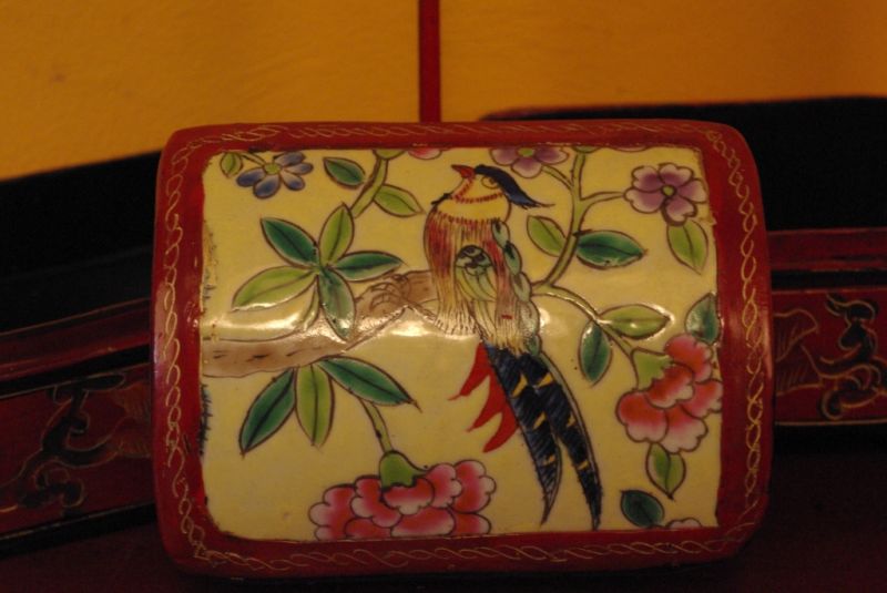Grosse Asiatische Schatullen Vogel 5