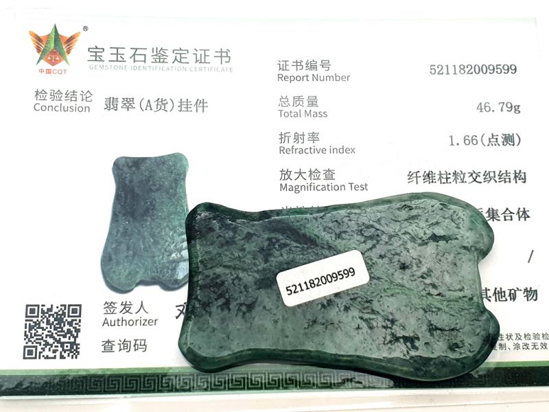 Gua Sha Fish - Real Jade - Body and face - Dark Green 2