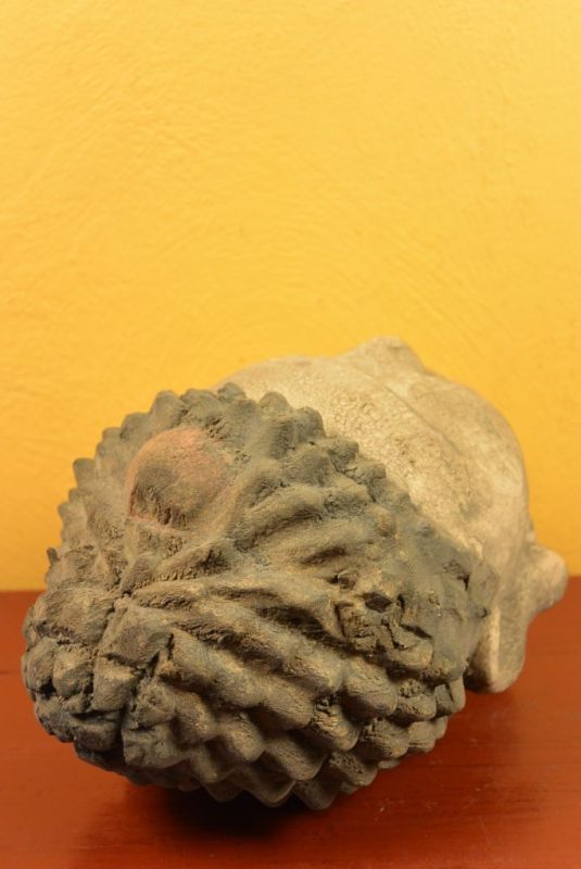 Holz Statuetten aus China Buddha-Kopf 5
