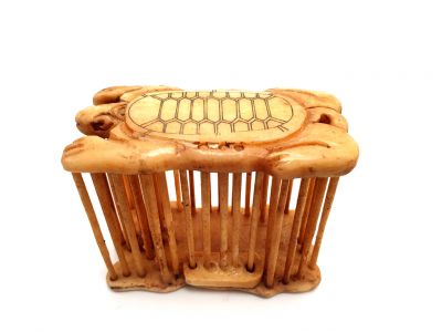 Grillenkäfig aus Knochen Schildkröte