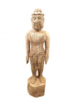 Statue Homme Acupuncture Médecine Chinoise