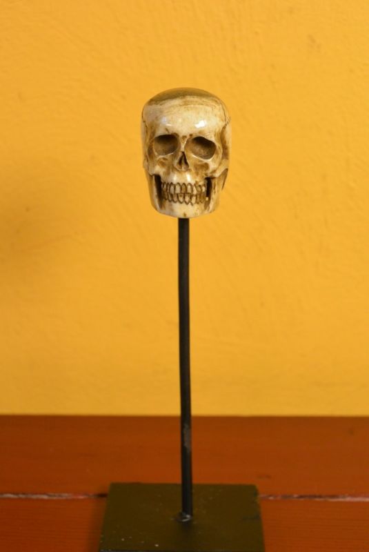 Indonesian Bone Statue Skull 2 1
