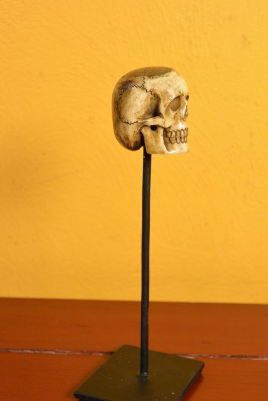 Indonesian Bone Statue Skull 2 3