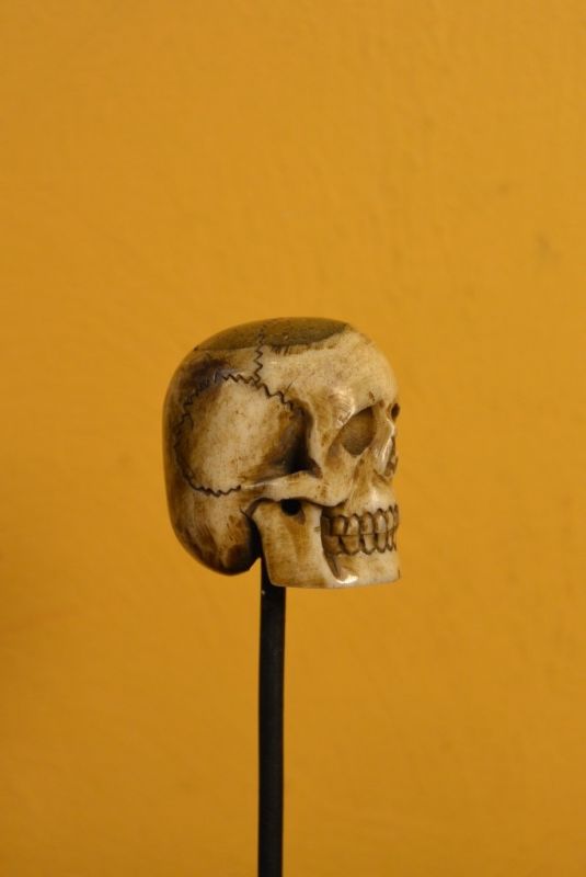 Indonesian Bone Statue Skull 2 4