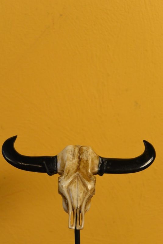 Indonesisch Statuen Knochen Büffel-Schädel 2