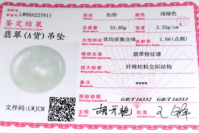 Jade Bi Pendant - Light Green Translucent 5