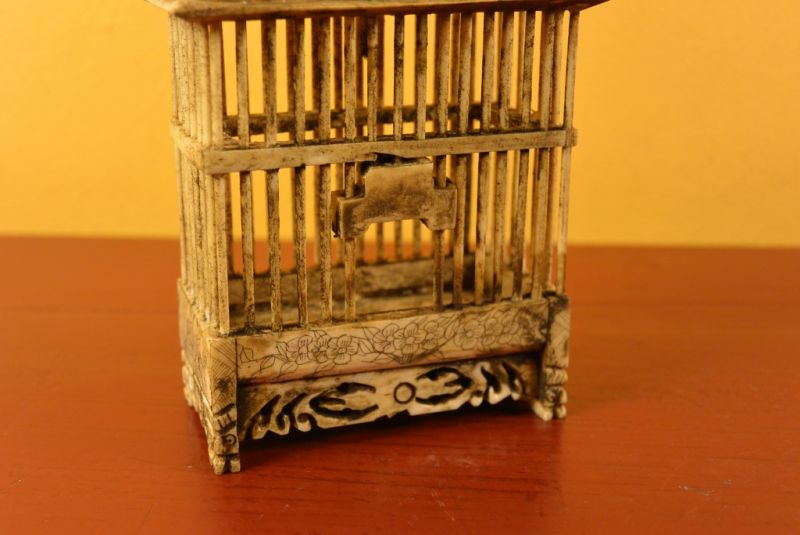 Jaula China de Hueso para Grillos Dragón 4