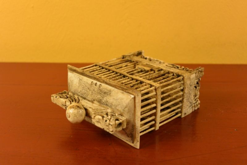 Jaula China de Hueso para Grillos Dragón 5