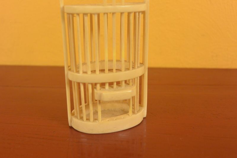 Jaula de Grillos de Hueso 2