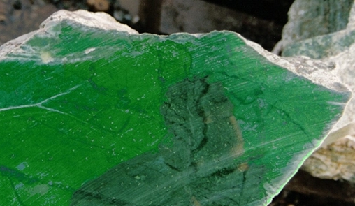 Le pouvoir et les vertus curatives du jade