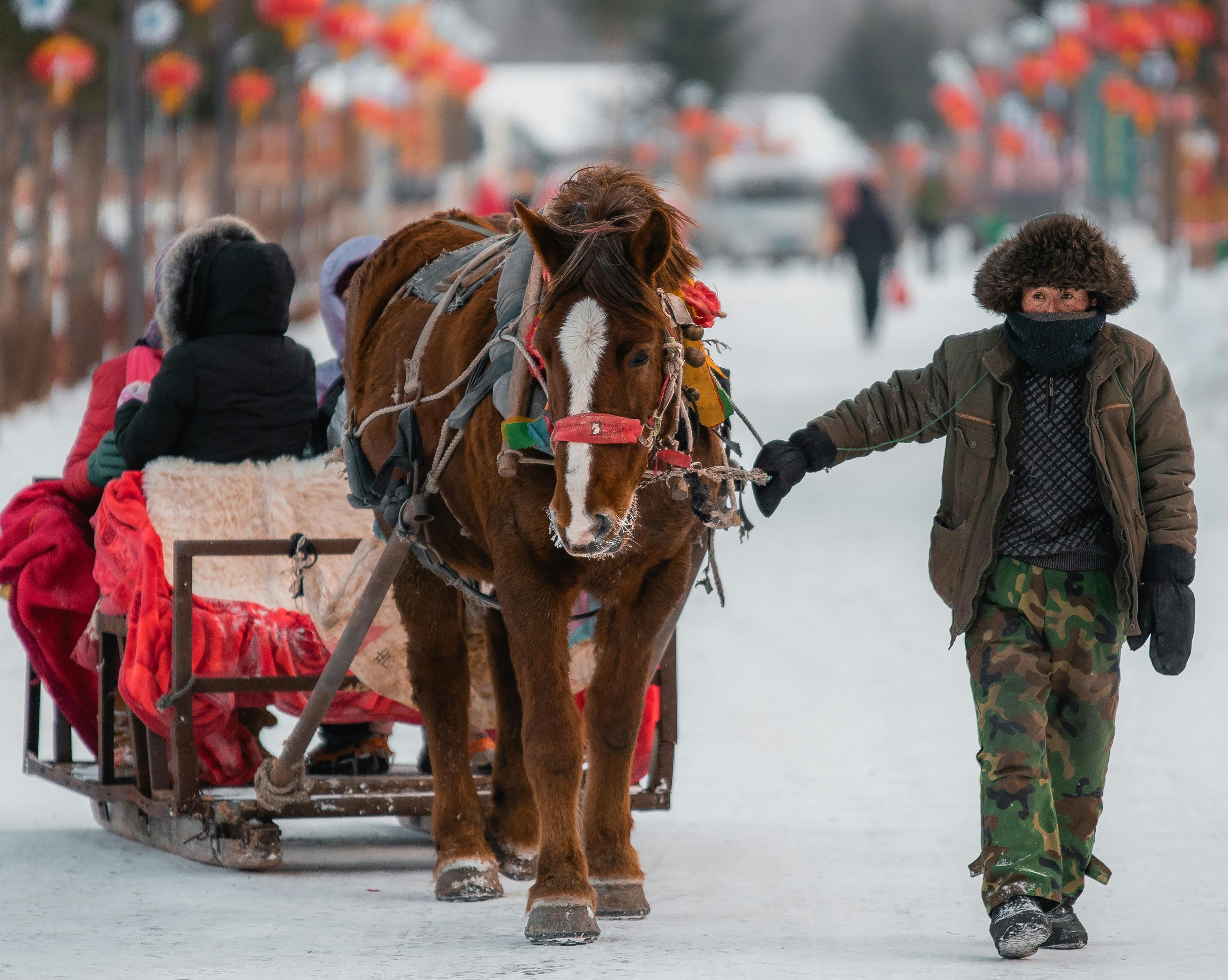 Le Cheval en Chine