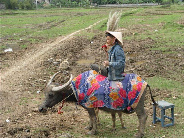 Le Minibus au Laos