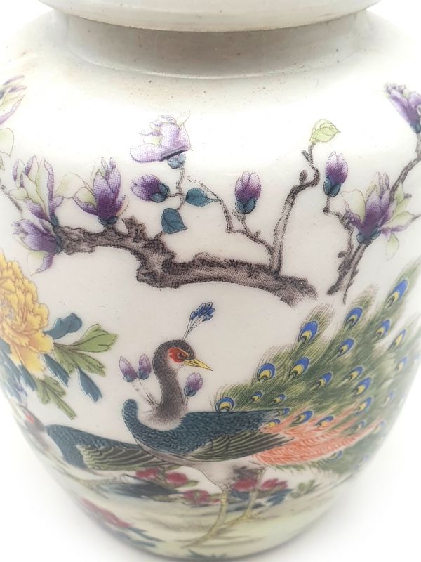 Kleine Chinesische Vase Porzellan - Farbig - Pfauen 2