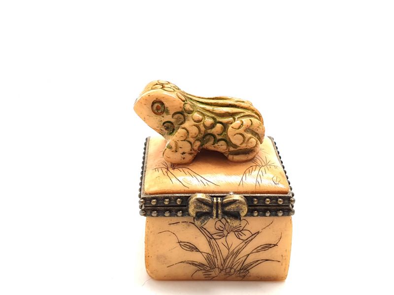 Kleine Knochen box Frosch 2