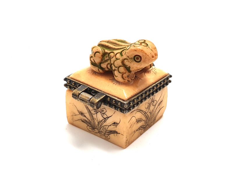 Kleine Knochen box Frosch 3