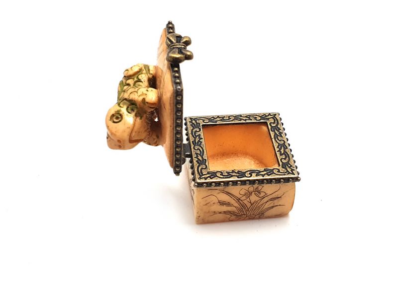 Kleine Knochen box Frosch 4