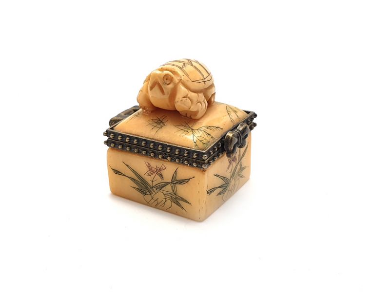 Kleine Knochen box Schildkröte 2
