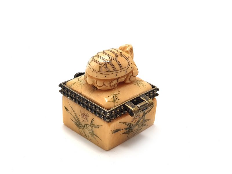 Kleine Knochen box Schildkröte 3