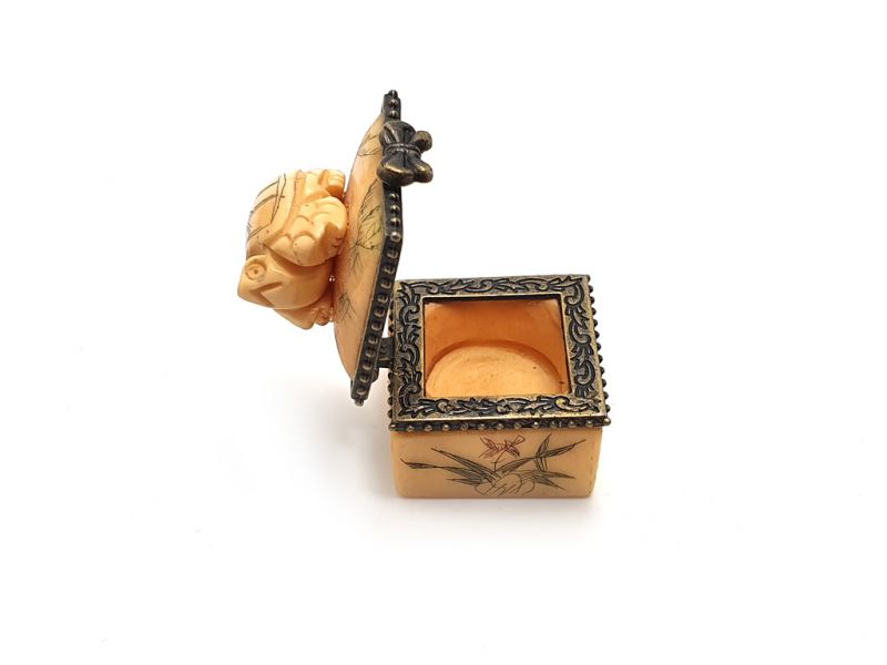 Kleine Knochen box Schildkröte 4