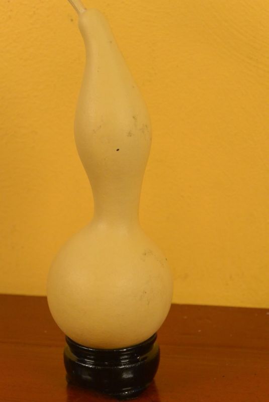 Lange Wu Lou Flaschenkürbis 3