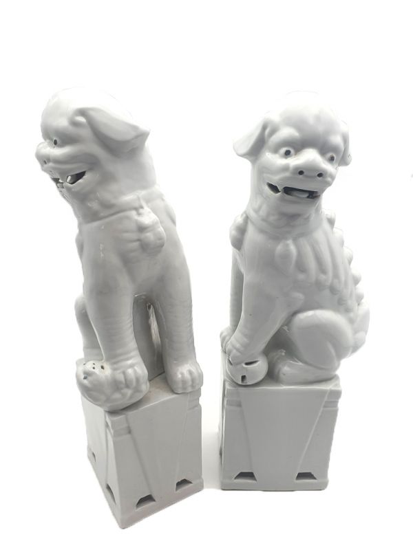 Large Fu Dog pair in porcelain - White 2