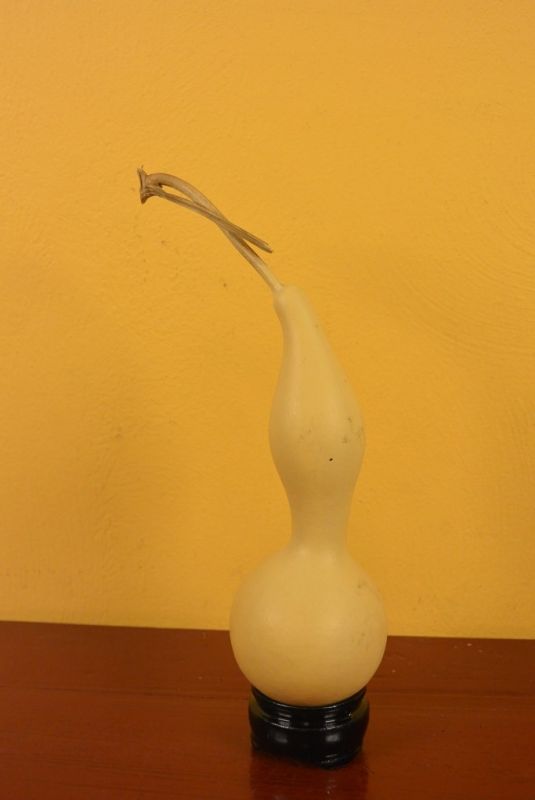 Long Wu Lou Gourd 1