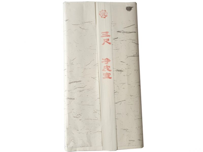 Feuille Papier De Riz Blanc Taille A4 Lot x10