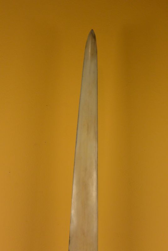 Namensgebendes Schwertfisch 3 2