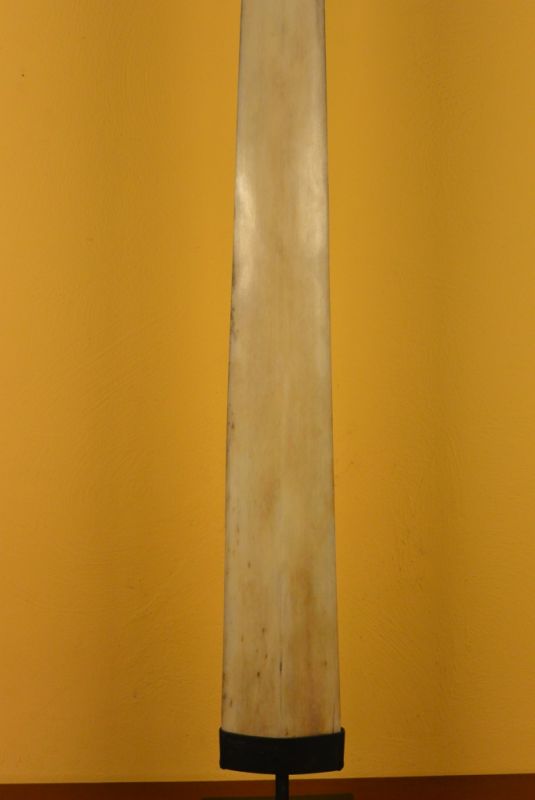 Namensgebendes Schwertfisch 3 3
